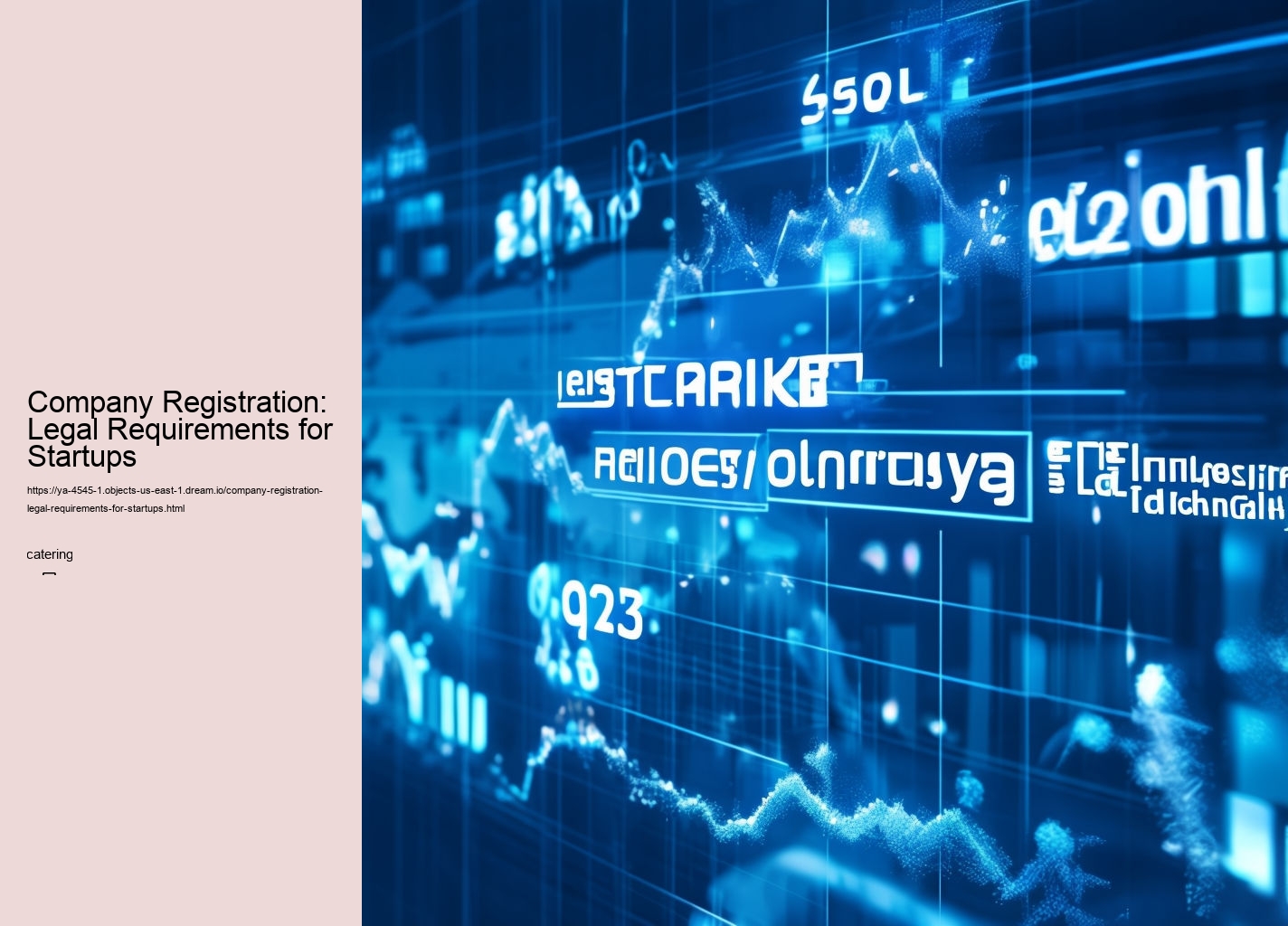 Company Registration: Legal Requirements for Startups