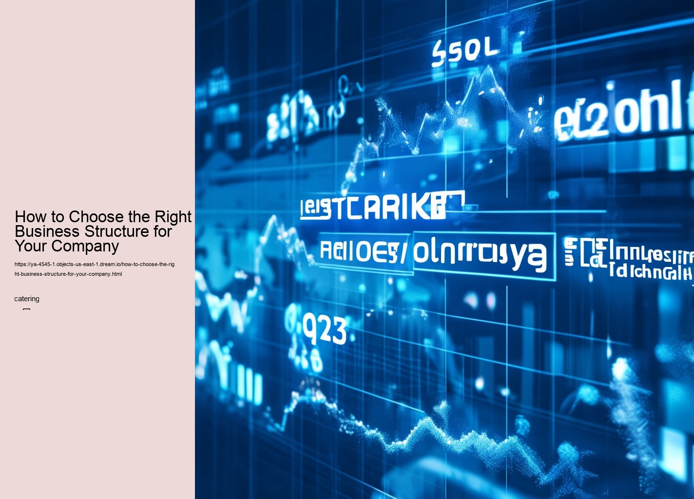 How to Choose the Right Business Structure for Your Company