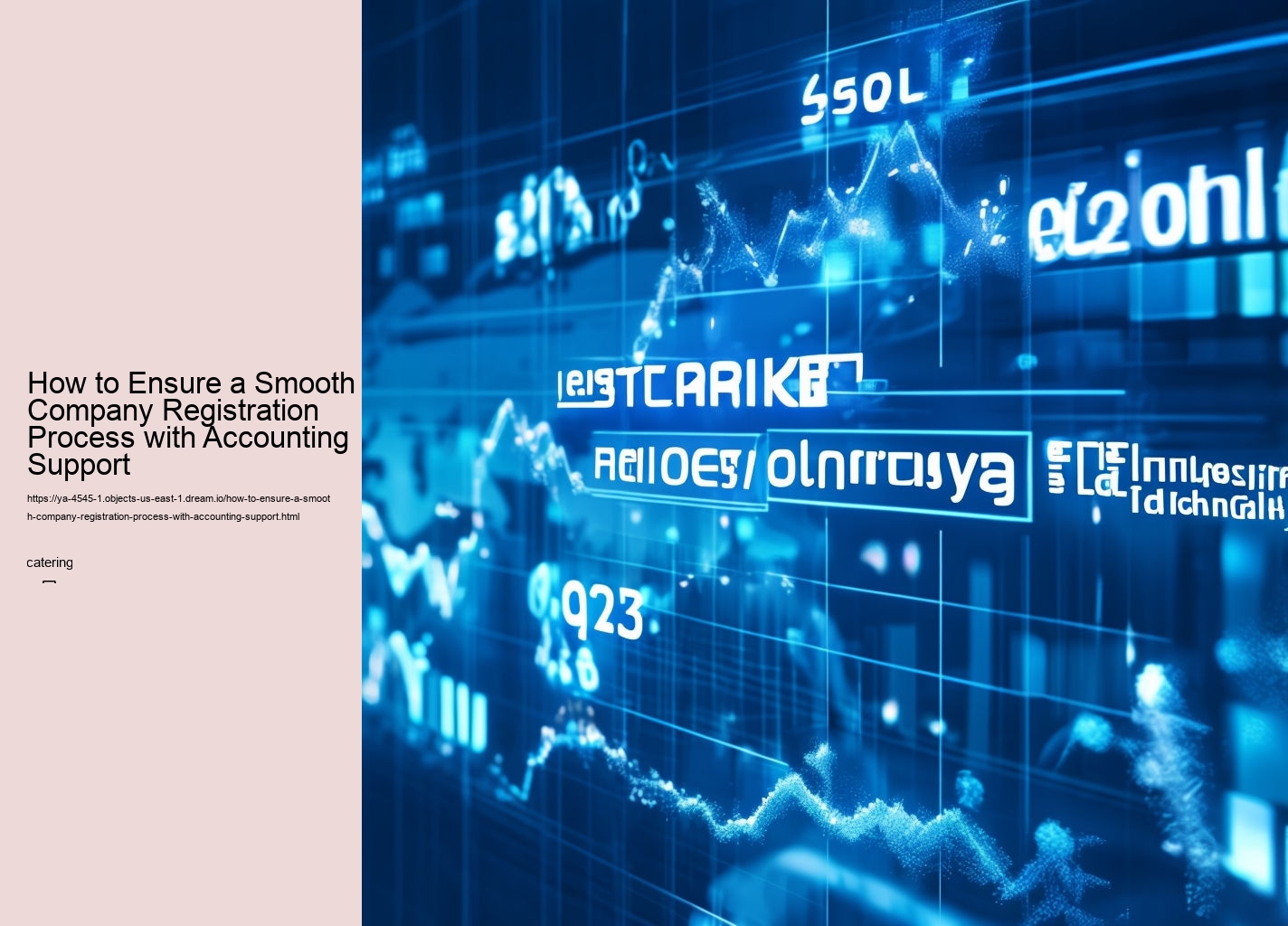 How to Ensure a Smooth Company Registration Process with Accounting Support