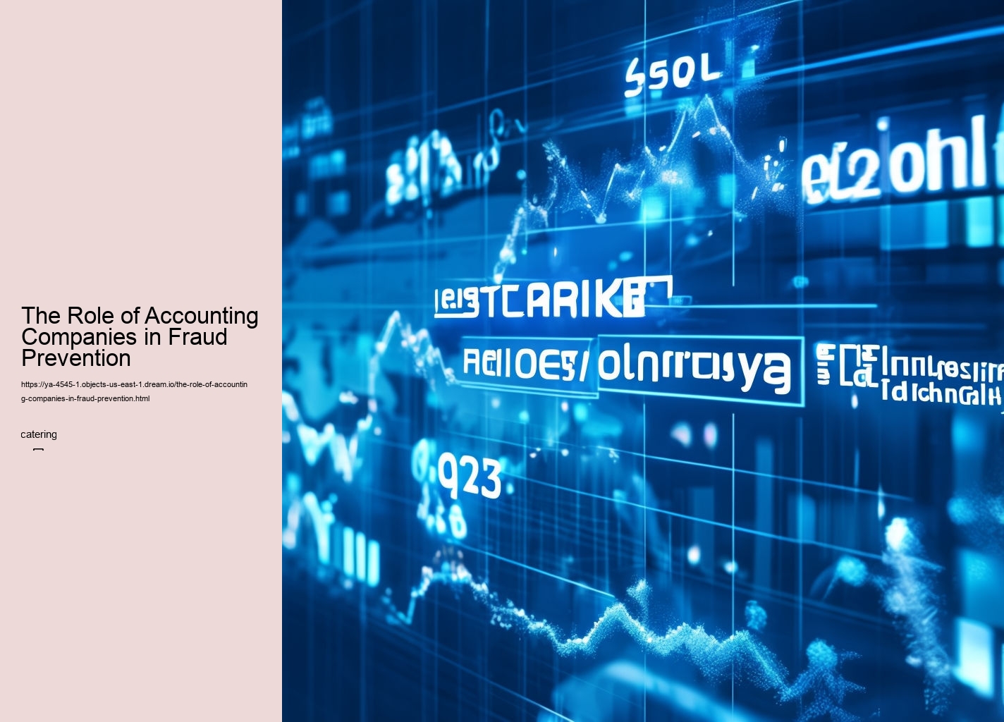 The Role of Accounting Companies in Fraud Prevention